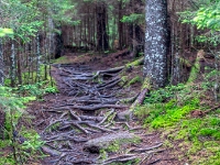 Fundy National Park Of Canada